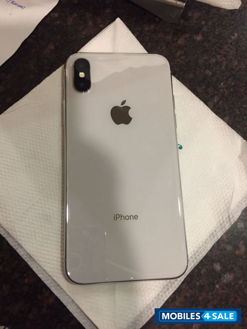 Silver Apple  Iphone X