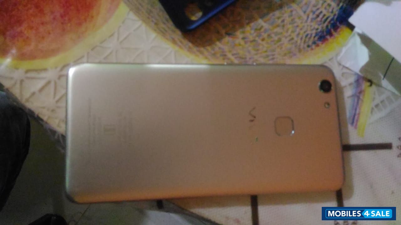 Vivo  V7 plus