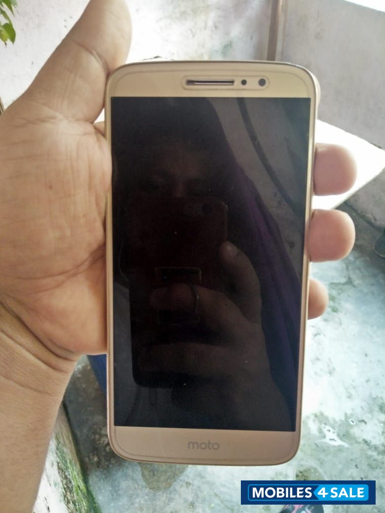 Golden Motorola Moto m Golden Motorola Moto m