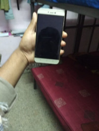 Gold Coolpad  Coolpad note 3s