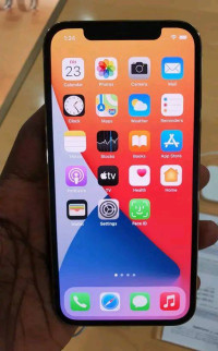 Apple iPhone 12 pro max