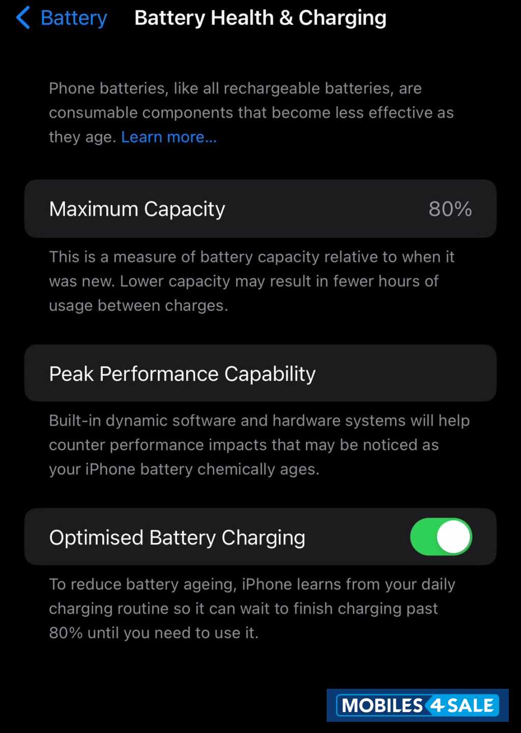 Blue Apple  iPhone 13 promax