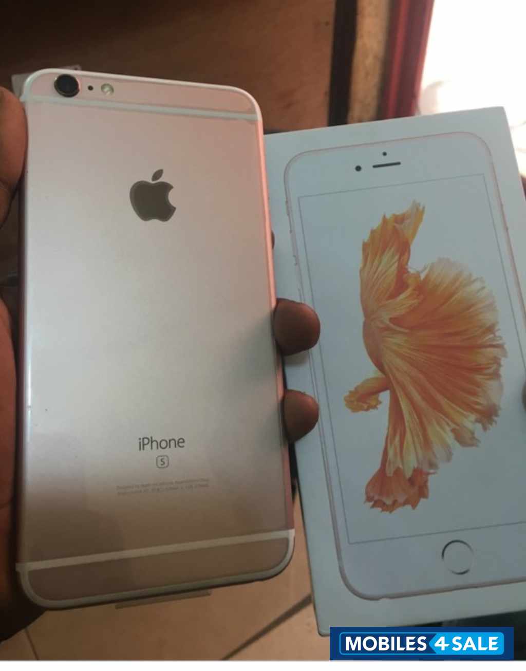 Iphone 6 plus Iphone 6 plus