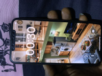 Green Apple iPhone 11 Pro Max 256GB