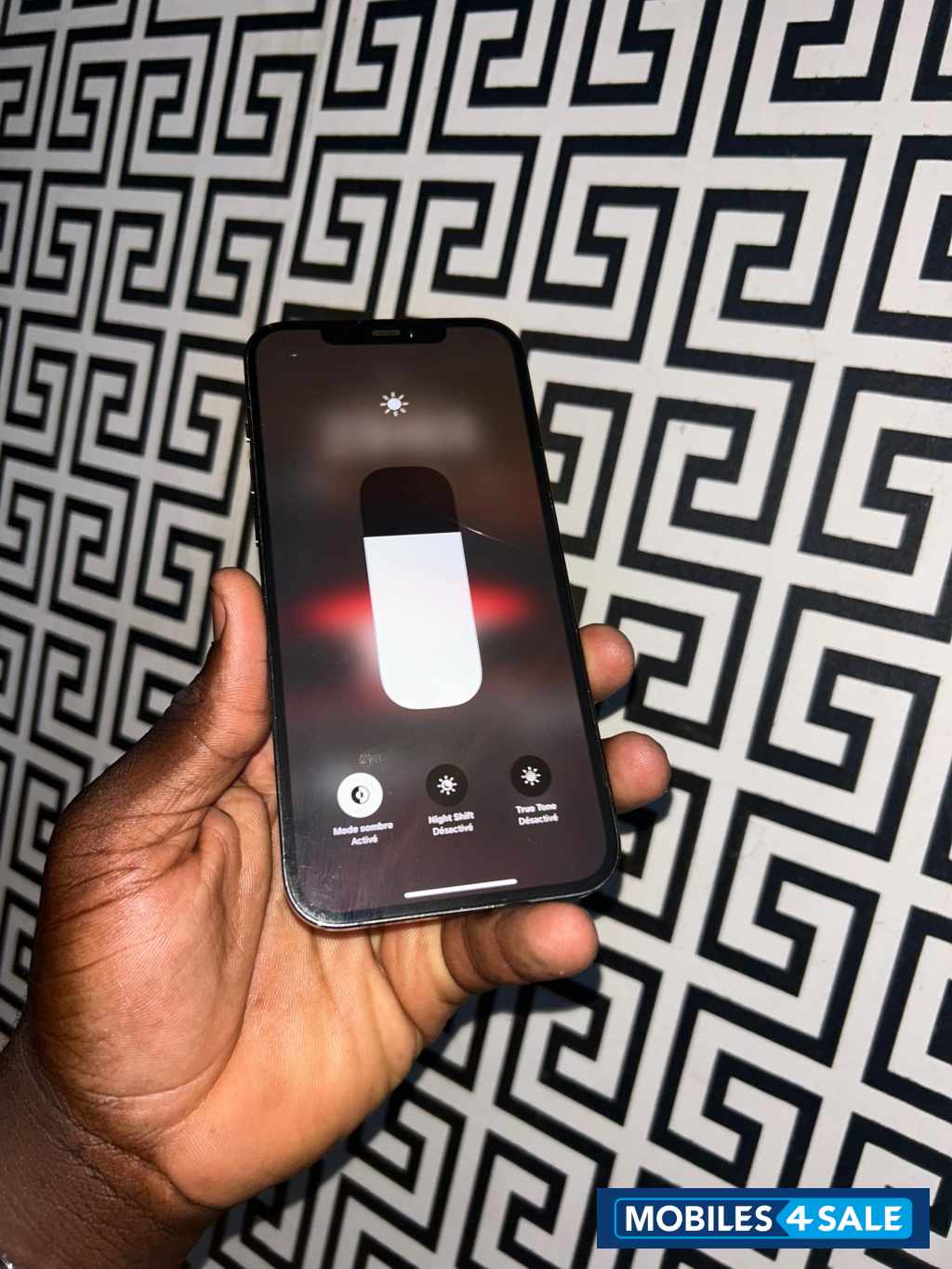 Apple iPhone 12 Pro Max