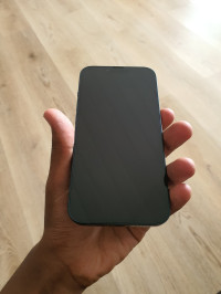 Apple 13