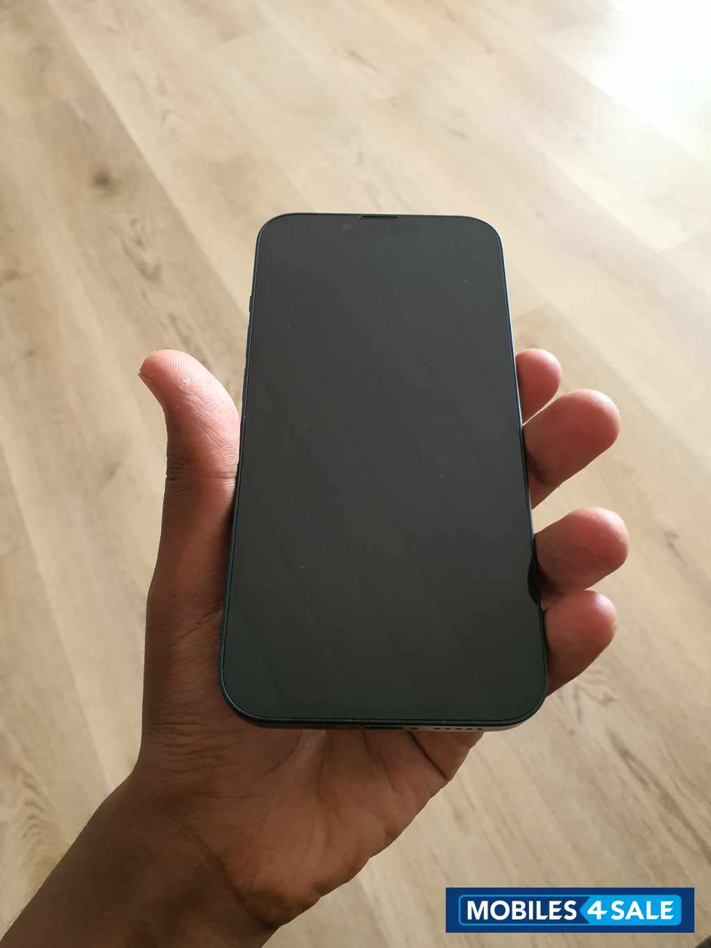 Apple 13