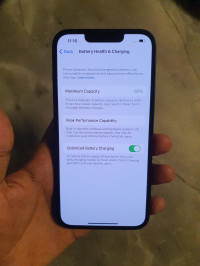 Apple 13