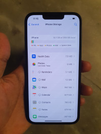 Apple 13