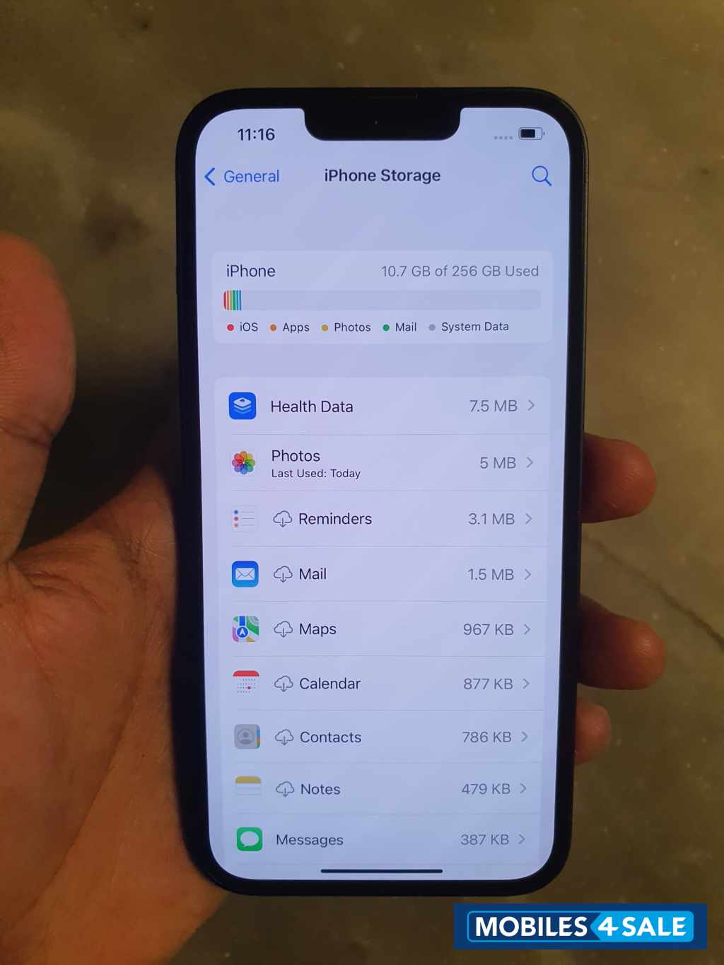 Apple 13 Apple 13
