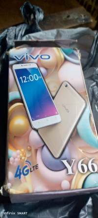 Vivo Y66